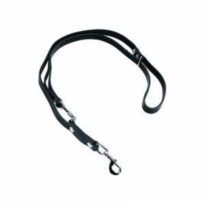 Laisse de conduite double